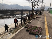 양평군 단월면, 꽃잔디 식재하며 봄맞이 준비
