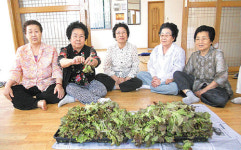 삼호동, 텃밭재배 채소 경로당 11곳 전달