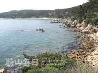 솔바람 소리·파도 소리 벗하니 사람과 자연 하나 물아일체