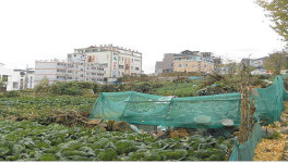 중구 성안동 주민센터 건립 확정