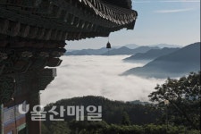 아스라한 안갯속 절경서 쉼표 찍다 마의태자 눈물이 아른, 충북 옥천 용암사로…
