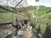 전쟁의 아픔 움켜쥔 철책… 분단 넘어 평화를 노래하다