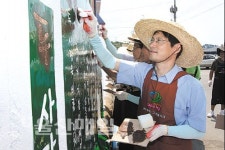 서생 나사리, 꿈꾸는 바다 벽화로 새 옷 입는다
