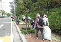 신정2동주민센터 추석맞이 일제 대청소
