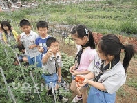 삼평초등 개발 실천 중심 교육 창의력 신장·인성 함양 큰효과