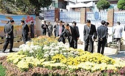 제7회 작은 마을 소담한 국화전시회