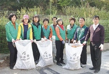 신정4동 새마을협·부녀회, 공한지·이면도로 환경정비
