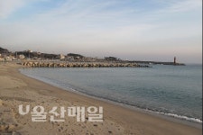 한 해 동안 걸어온 길… 그 끝에서 희망의 길을 묻다