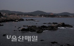 한 해 동안 걸어온 길… 그 끝에서 희망의 길을 묻다