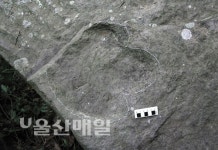 육식공룡이 남긴 발자국 최소 3곳