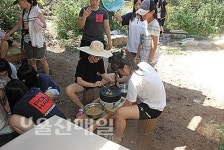 울주군 삼동면 금곡 농촌체험마을 나물 캐러 들로 산으로…추억에 흠뻑