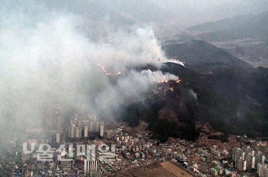 울산 울주 언양 산불, 29시간만에 완전 진화…1233명의 공무원들 헌신 박았다