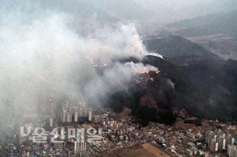 산불피해 복구 발빠르게 움직인다