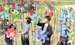 선암호수공원 형형색색 바람개비