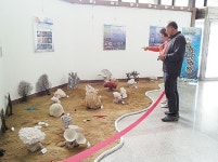 동구청으로 옮겨온 울산해양박물관