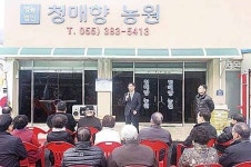 원동면 청매실 가공 상품 생산 영포리 영농법인 청매향 출범