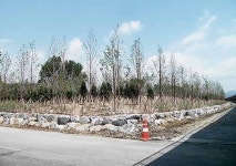 무분별 산단 개발 중병걸린 도시의 허파…늦기전에 녹화를