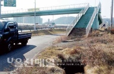 연결 人道 없는 육교 애물단지… 농로·차로변 따라 보행