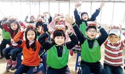 농서초교, 친환경 딸기 수확 체험