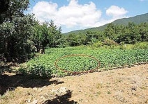 울산시 울주군 상북면 궁근정리 797-7 전