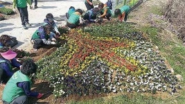 봄 초화류 3,000본 식재