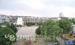 市, 시립미술관 들어설 울산초등학교 건물 철거 결정 校舍 존치 여부 끝없는 논란에 종지부