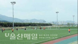 철새 도래지 태화강 인공조명 기준 강화