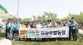 농협은행 울산본부 단감 주말농장 개장
