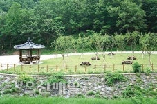 박상진 의사 나라사랑 되새기며 송정호수 한바퀴[송정박상진호수공원]