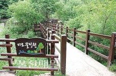 박상진 의사 나라사랑 되새기며 송정호수 한바퀴[송정박상진호수공원]