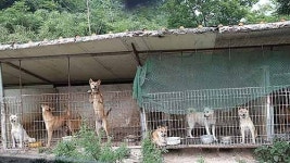 정비 끝난 시기념물 개운포성지 관리 안하나