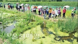 한폭의 그림 같아요…회야댐 생태습지 탐방장 각광