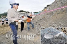 북구 곳곳 신생대 연체동물 화석 잇따라 발견…공사로 훼손 심각 지질유산 체계적 보존방안 급선무