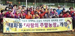 주말농장 고구마 경로당에 전달