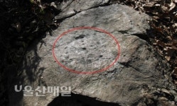 강화도 화개산성서 청동기시대 암각화 발견