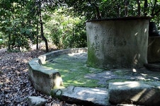 붉게 물들인 봄 처녀를 맞이하는 외로운 섬, 울산 목도(目島)