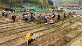 남구 퇴직자 도시농장 개장…1,310㎡ 규모 100여 가구에 분양