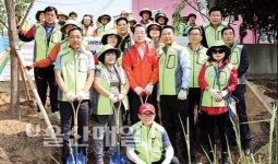 서동욱 남구청장, 여천천변서 버드나무 식재