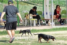 남구 애견운동공원 붐빌수록 적자?