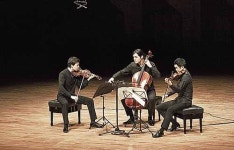 클래식 영 아이콘 앙상블 디토 울산 온다