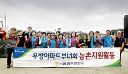 농협 울주군지부·우방아파트부녀회, 양파 수확 일손돕기