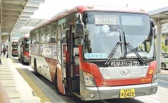 오늘부터 5003번 버스 적자분 보전