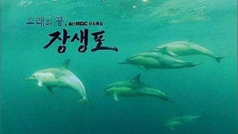 장생포, 세계적 고래관광지 도약 꿈꾼다