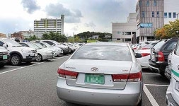 주차공간 빈약 울산대교 전망대  동구청 주차장·주변도로, 관광객 차들로 몸살