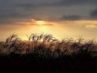 [렌즈 속 이야기] 무룡산 일출