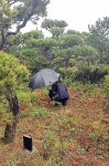 동구 식물수목원, 불법수목장 운영 적발