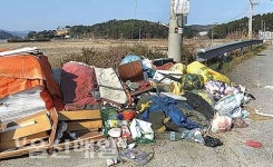 도로변에 버린 양심