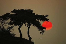 [렌즈 속 이야기] 여의주를 문 용