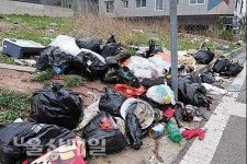 도로변 쓰레기 더미 눈살