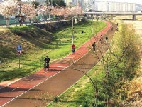 [동천강 자전거 도로 한바퀴]살랑살랑 봄바람, 따릉따릉 자전거 봄 펼쳐진 동천강변 두 바퀴 봄바람 싣고 달린다